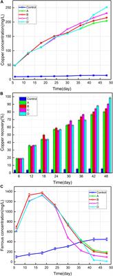 Effect of Introduction of Exogenous Strain Acidithiobacillus thiooxidans A01 on Structure and Function of Adsorbed and Planktonic Microbial Consortia During Bioleaching of Low-Grade Copper Sulfide